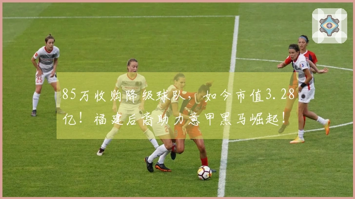 85万收购降级球队，如今市值3.28亿！福建后裔助力意甲黑马崛起！