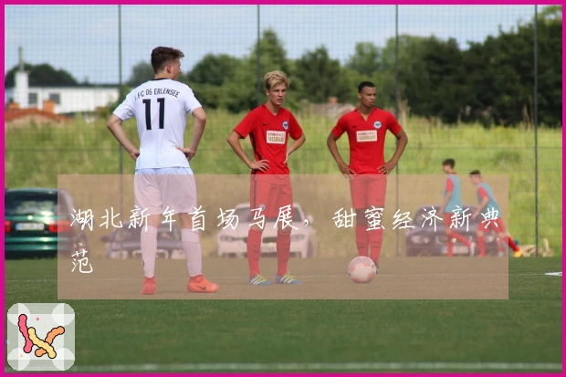 湖北新年首场马展，甜蜜经济新典范